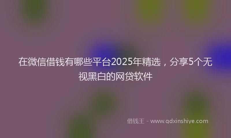在微信借钱有哪些平台2025年精选，分享5个无视黑白的网贷软件