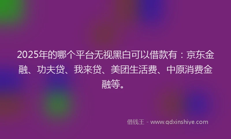 2025年的哪个平台无视黑白可以借款有：京东金融、功夫贷、我来贷、美团生活费、中原消费金融等。
