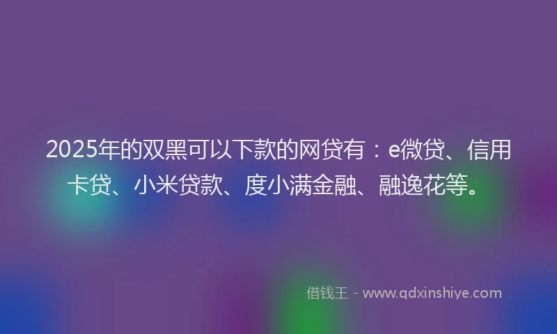 2025年的双黑可以下款的网贷有：e微贷、信用卡贷、小米贷款、度小满金融、融逸花等。