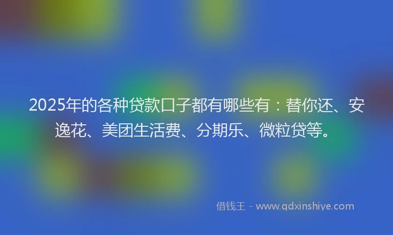 2025年的各种贷款口子都有哪些有：替你还、安逸花、美团生活费、分期乐、微粒贷等。