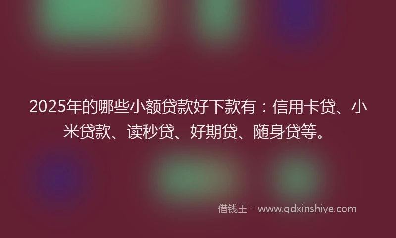 2025年的哪些小额贷款好下款有：信用卡贷、小米贷款、读秒贷、好期贷、随身贷等。