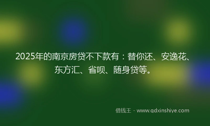 2025年的南京房贷不下款有：替你还、安逸花、东方汇、省呗、随身贷等。