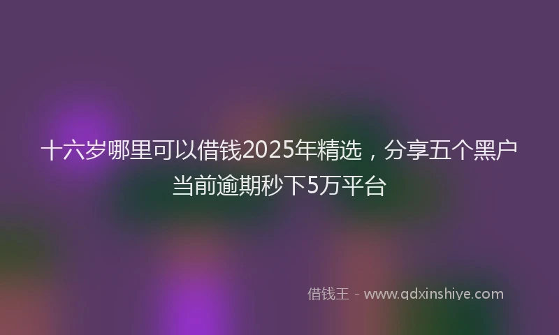 十六岁哪里可以借钱2025年精选，分享五个黑户当前逾期秒下5万平台