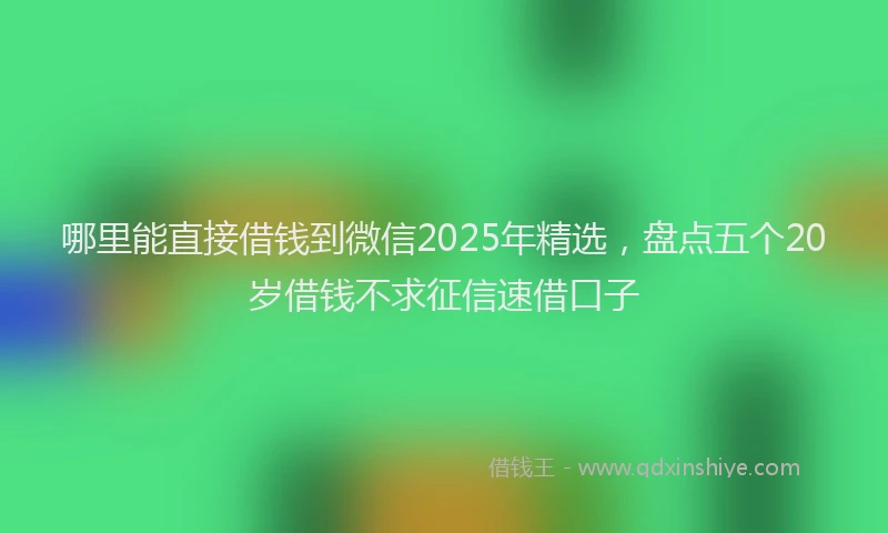 哪里能直接借钱到微信2025年精选，盘点五个20岁借钱不求征信速借口子