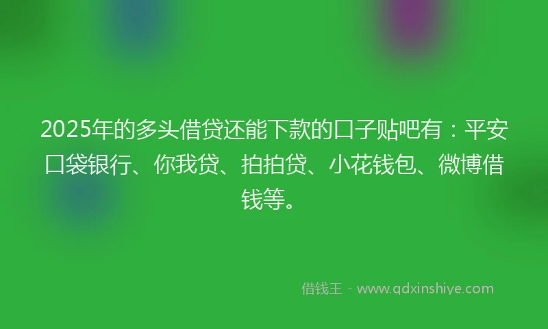 2025年的多头借贷还能下款的口子贴吧有：平安口袋银行、你我贷、拍拍贷、小花钱包、微博借钱等。