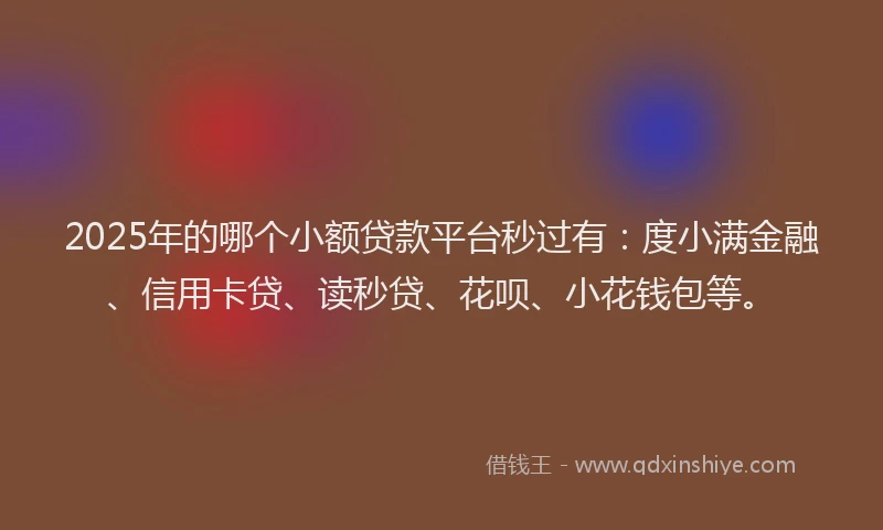 2025年的哪个小额贷款平台秒过有：度小满金融、信用卡贷、读秒贷、花呗、小花钱包等。