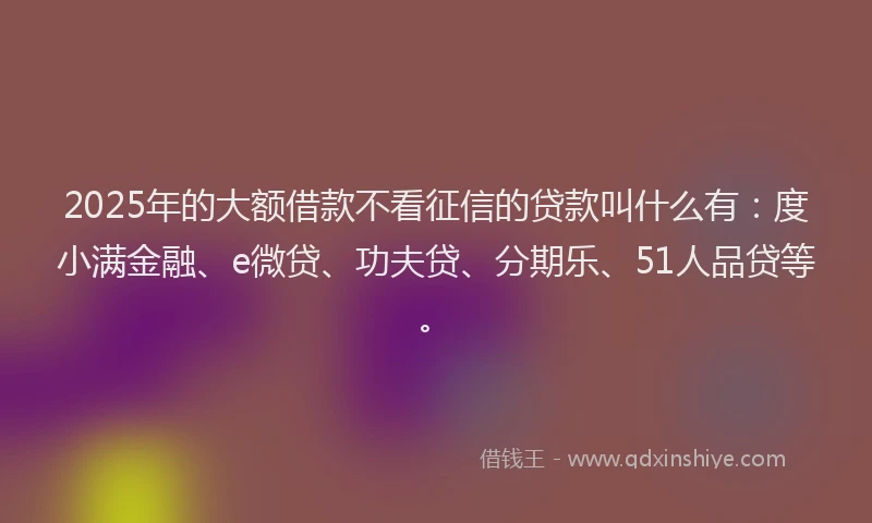 2025年的大额借款不看征信的贷款叫什么有：度小满金融、e微贷、功夫贷、分期乐、51人品贷等。