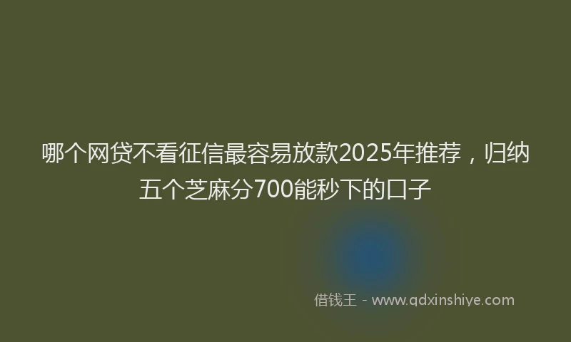 哪个网贷不看征信最容易放款2025年推荐，归纳五个芝麻分700能秒下的口子