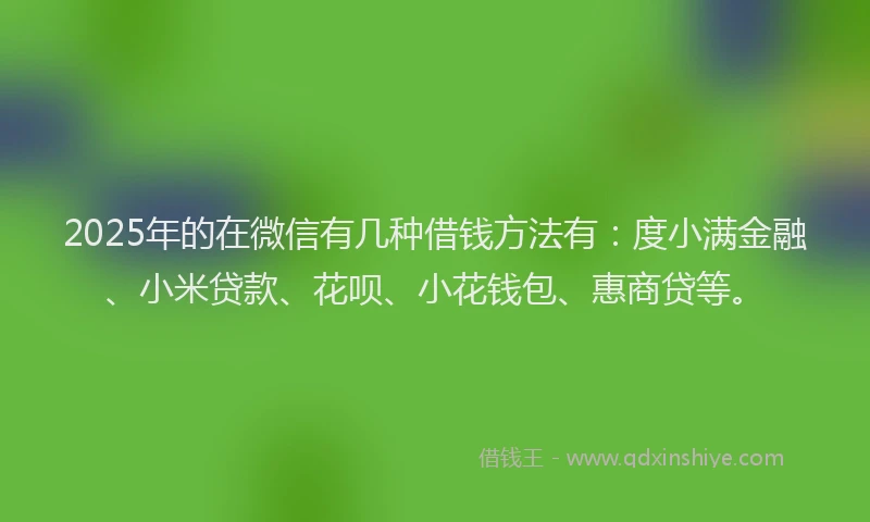 2025年的在微信有几种借钱方法有：度小满金融、小米贷款、花呗、小花钱包、惠商贷等。