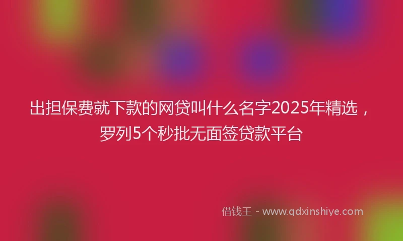 出担保费就下款的网贷叫什么名字2025年精选，罗列5个秒批无面签贷款平台