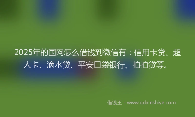 2025年的国网怎么借钱到微信有：信用卡贷、超人卡、滴水贷、平安口袋银行、拍拍贷等。
