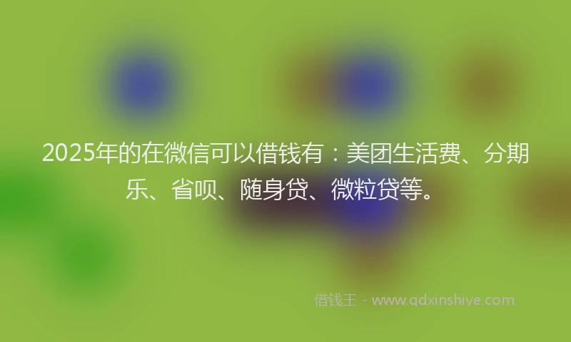 2025年的在微信可以借钱有：美团生活费、分期乐、省呗、随身贷、微粒贷等。