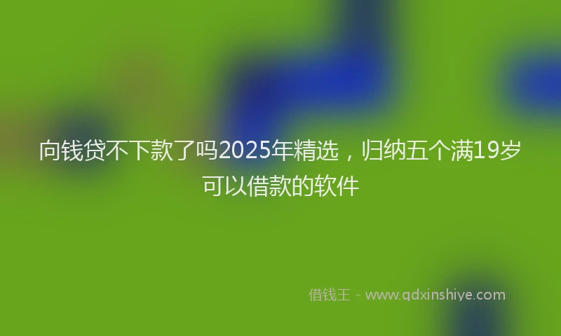 向钱贷不下款了吗2025年精选，归纳五个满19岁可以借款的软件
