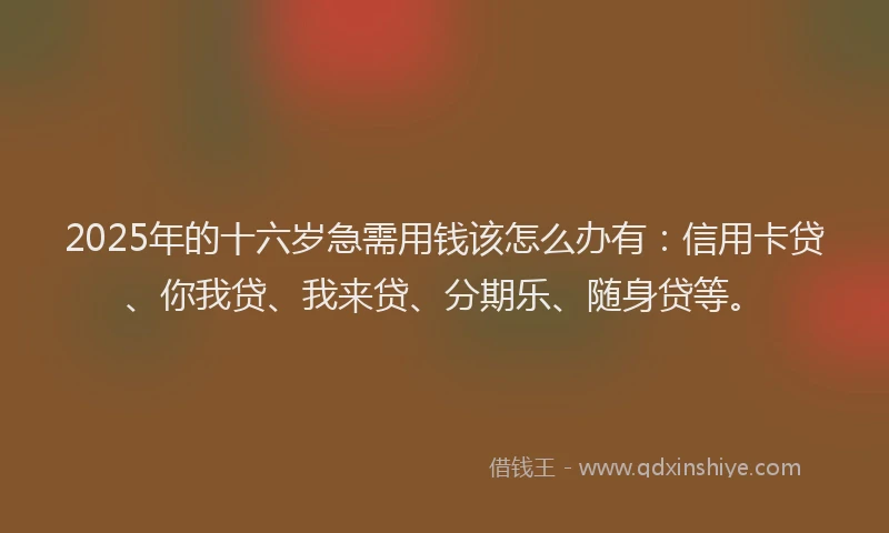 2025年的十六岁急需用钱该怎么办有：信用卡贷、你我贷、我来贷、分期乐、随身贷等。