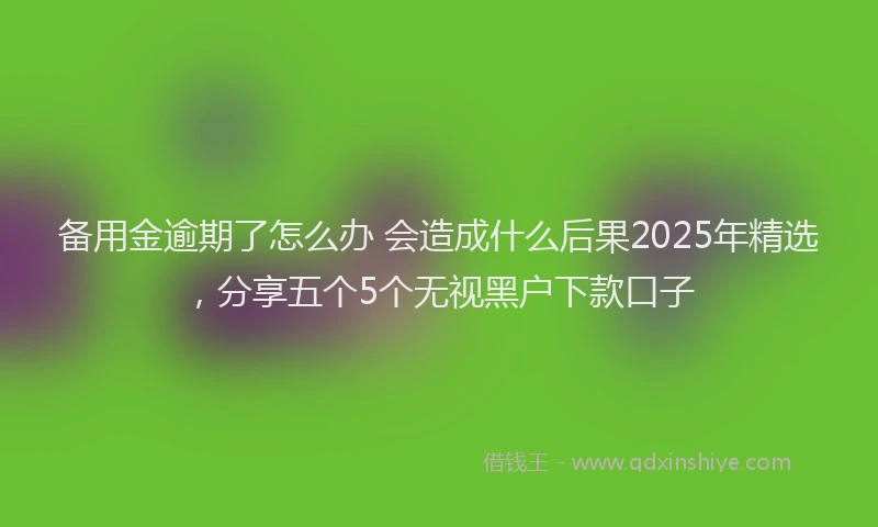 备用金逾期了怎么办 会造成什么后果2025年精选，分享五个5个无视黑户下款口子