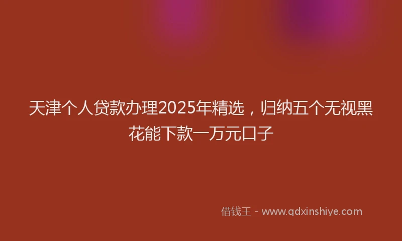 天津个人贷款办理2025年精选，归纳五个无视黑花能下款一万元口子