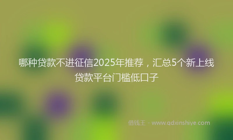 哪种贷款不进征信2025年推荐，汇总5个新上线贷款平台门槛低口子