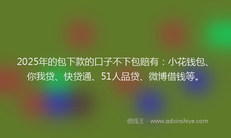 2025年的包下款的口子不下包赔有：小花钱包、你我贷、快贷通、51人品贷、微博借钱等。