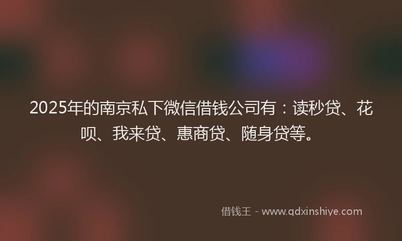 2025年的南京私下微信借钱公司有：读秒贷、花呗、我来贷、惠商贷、随身贷等。