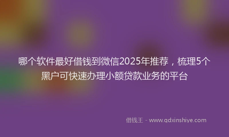 哪个软件最好借钱到微信2025年推荐，梳理5个黑户可快速办理小额贷款业务的平台