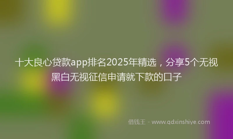 十大良心贷款app排名2025年精选，分享5个无视黑白无视征信申请就下款的口子