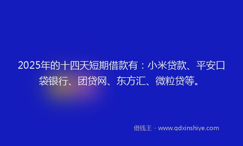 2025年的十四天短期借款有：小米贷款、平安口袋银行、团贷网、东方汇、微粒贷等。