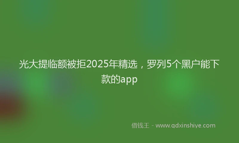 光大提临额被拒2025年精选，罗列5个黑户能下款的app