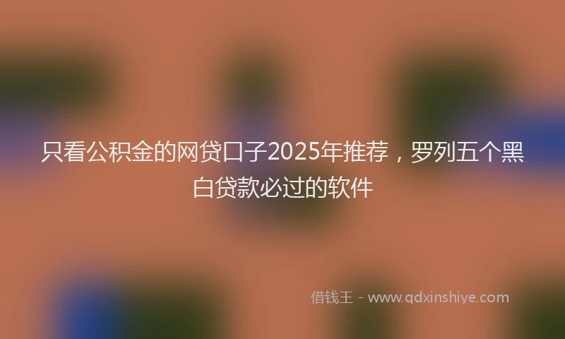 只看公积金的网贷口子2025年推荐，罗列五个黑白贷款必过的软件