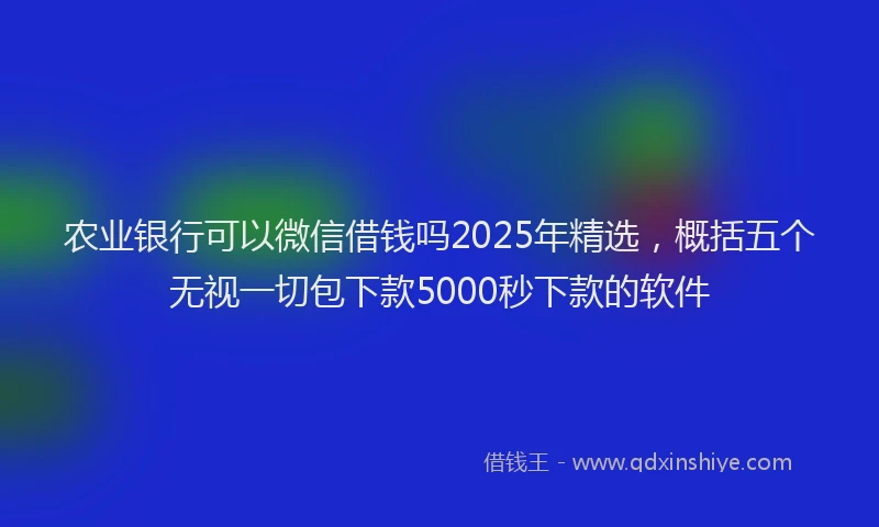 农业银行可以微信借钱吗2025年精选，概括五个无视一切包下款5000秒下款的软件