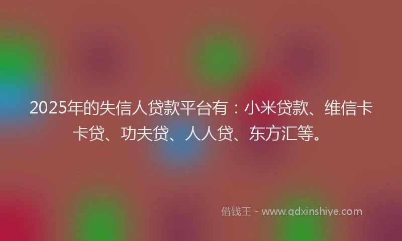 2025年的失信人贷款平台有：小米贷款、维信卡卡贷、功夫贷、人人贷、东方汇等。