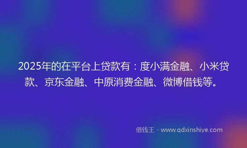 2025年的在平台上贷款有：度小满金融、小米贷款、京东金融、中原消费金融、微博借钱等。