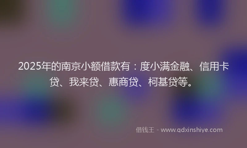 2025年的南京小额借款有：度小满金融、信用卡贷、我来贷、惠商贷、柯基贷等。