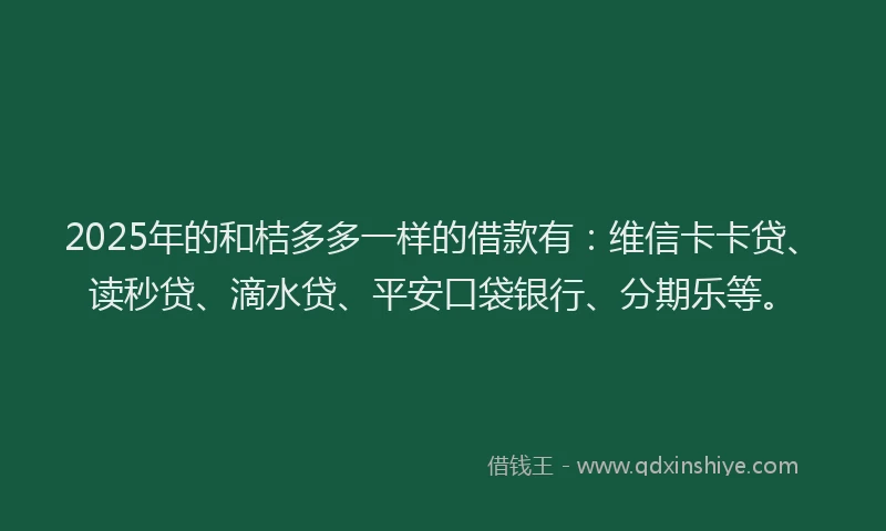 2025年的和桔多多一样的借款有：维信卡卡贷、读秒贷、滴水贷、平安口袋银行、分期乐等。
