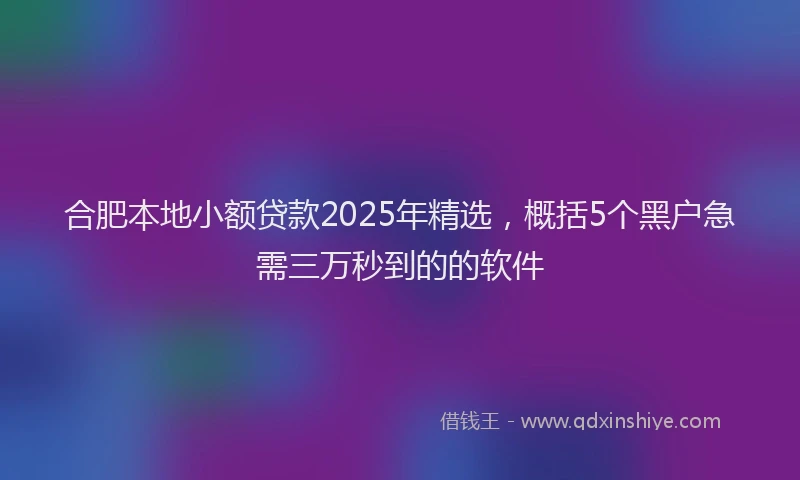 合肥本地小额贷款2025年精选，概括5个黑户急需三万秒到的的软件