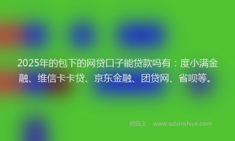 2025年的包下的网贷口子能贷款吗有：度小满金融、维信卡卡贷、京东金融、团贷网、省呗等。
