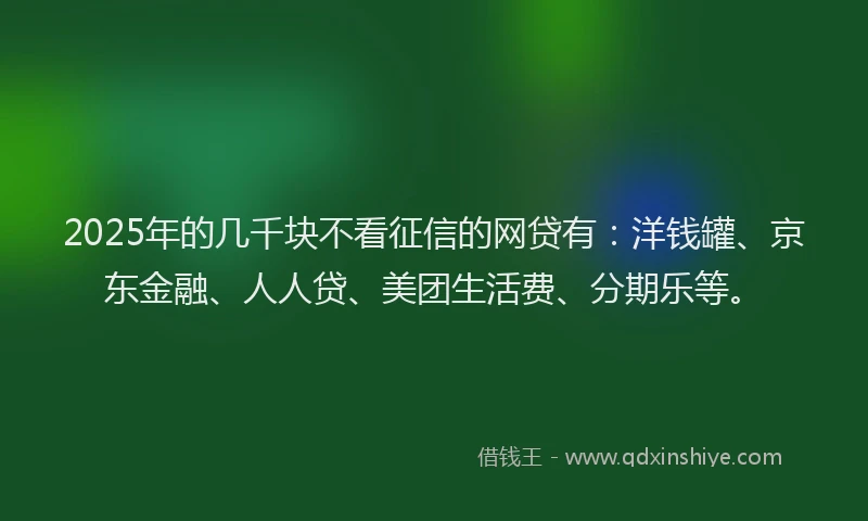 2025年的几千块不看征信的网贷有：洋钱罐、京东金融、人人贷、美团生活费、分期乐等。