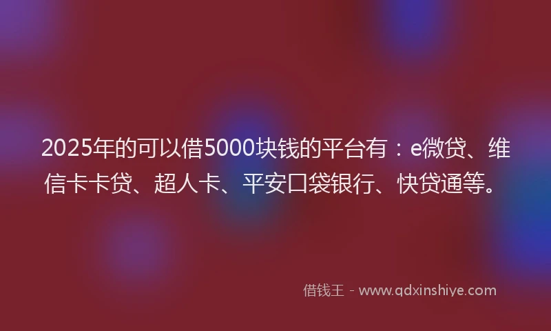 2025年的可以借5000块钱的平台有：e微贷、维信卡卡贷、超人卡、平安口袋银行、快贷通等。