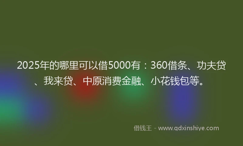 2025年的哪里可以借5000有：360借条、功夫贷、我来贷、中原消费金融、小花钱包等。