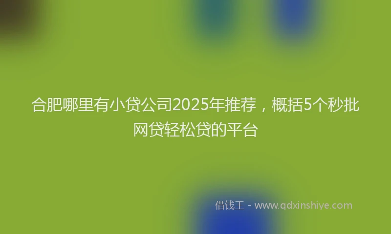 合肥哪里有小贷公司2025年推荐，概括5个秒批网贷轻松贷的平台