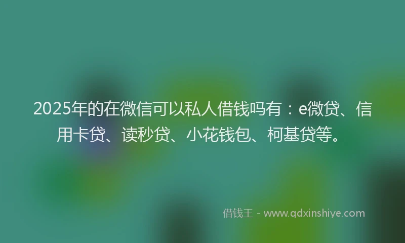 2025年的在微信可以私人借钱吗有：e微贷、信用卡贷、读秒贷、小花钱包、柯基贷等。