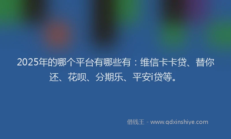 2025年的哪个平台有哪些有：维信卡卡贷、替你还、花呗、分期乐、平安i贷等。