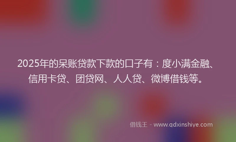 2025年的呆账贷款下款的口子有：度小满金融、信用卡贷、团贷网、人人贷、微博借钱等。