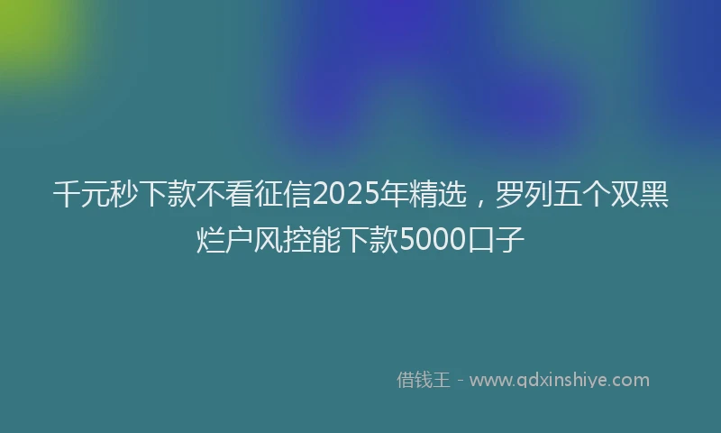 千元秒下款不看征信2025年精选，罗列五个双黑烂户风控能下款5000口子