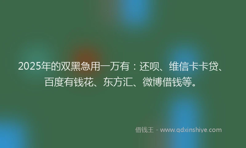 2025年的双黑急用一万有：还呗、维信卡卡贷、百度有钱花、东方汇、微博借钱等。