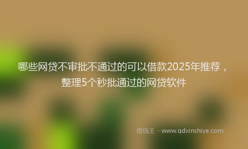 哪些网贷不审批不通过的可以借款2025年推荐，整理5个秒批通过的网贷软件