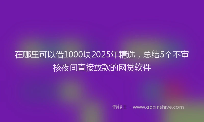 在哪里可以借1000块2025年精选，总结5个不审核夜间直接放款的网贷软件