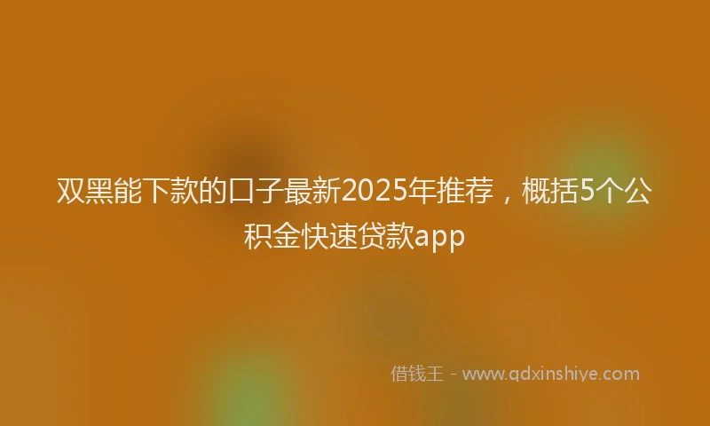 双黑能下款的口子最新2025年推荐，概括5个公积金快速贷款app