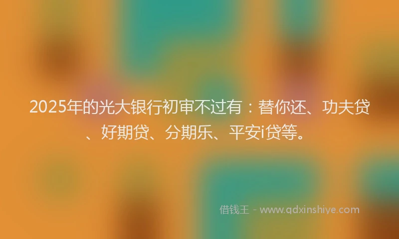 2025年的光大银行初审不过有：替你还、功夫贷、好期贷、分期乐、平安i贷等。