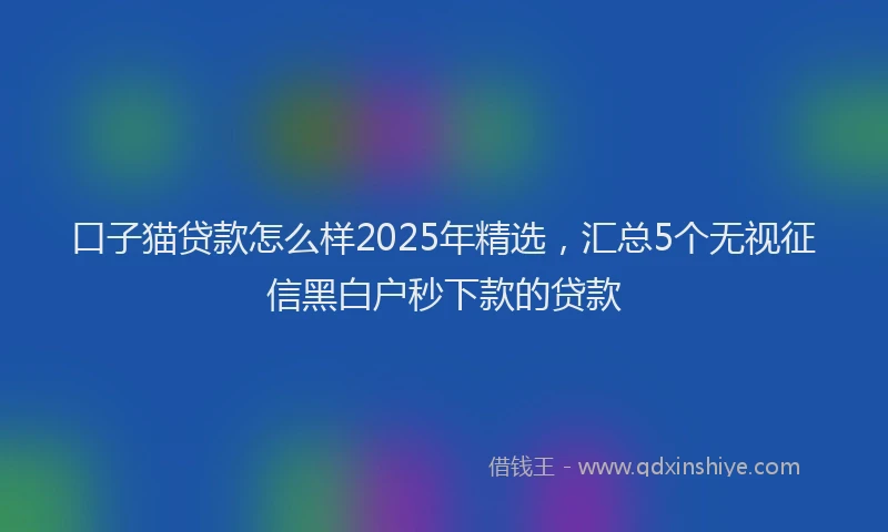 口子猫贷款怎么样2025年精选，汇总5个无视征信黑白户秒下款的贷款