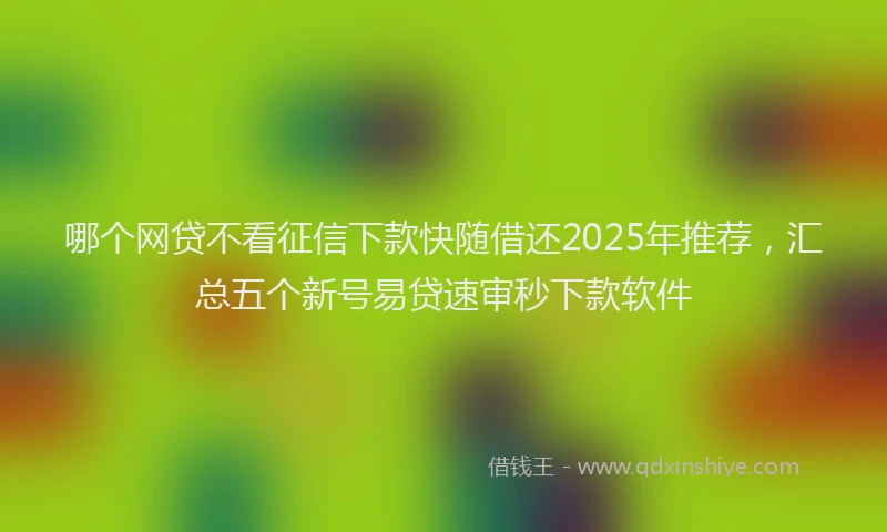 哪个网贷不看征信下款快随借还2025年推荐，汇总五个新号易贷速审秒下款软件